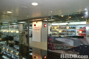 全方位攝影服務(wù)指南 從婚紗到家庭，捕捉每個珍貴瞬間